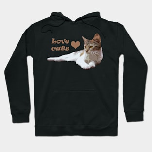 I love cats Hoodie